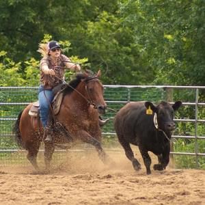 Meet your Posher, Morgan